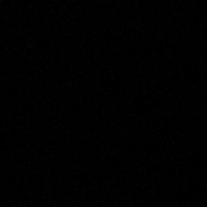 Meet your Posher, Bridget